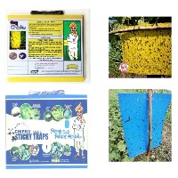 A5 Size Chipku Yellow & Blue Sticky Traps, 150mm x 200mm